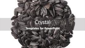  Presentation with sunflower sunflower sunflower sunflower sunflower - Audience pleasing PPT layouts consisting of top view of sunflower seeds isolated on white backdrop and a dark gray colored foreground