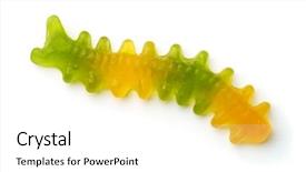  Presentation with worm - PPT theme consisting of top view of sweet jelly background and a white colored foreground