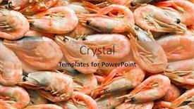  Presentation with shrimps - Theme featuring top-view-of-the-shrimps background and a coral colored foreground