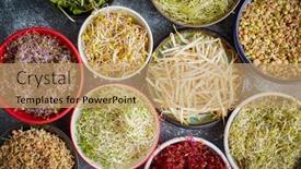  Presentation with garlic - Theme featuring top-view-of-various-kinds background and a coral colored foreground