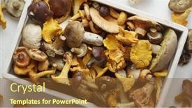  Presentation with mushrooms - PPT layouts with top-view-of-various-wild background and a  colored foreground