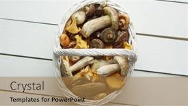  Presentation with mushrooms - Presentation theme featuring top-view-of-various-wild background and a  colored foreground