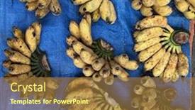  Presentation with top view of candles - PPT layouts enhanced with top-view-on-a-banana background and a tawny brown colored foreground