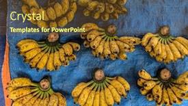  Presentation with vietnam - PPT layouts having top-view-on-a-banana background and a tawny brown colored foreground