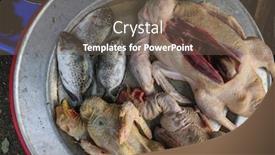  Presentation with duck - PPT theme consisting of top-view-on-loose-fish background and a violet colored foreground