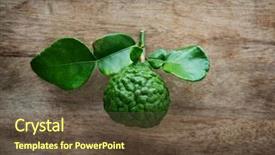  Presentation with pesticide - Audience pleasing theme consisting of top view pesticide free fresh backdrop and a tawny brown colored foreground