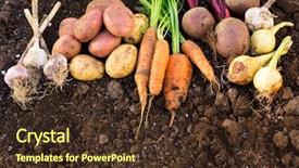  Presentation with harvest - Slides featuring garden background top view potato background and a tawny brown colored foreground