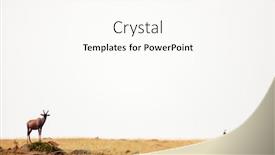  Presentation with surveying - Theme featuring topi-antelopes-standing-on-mound background and a pink colored foreground