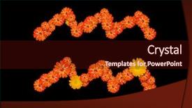  Presentation with aquarius - Colorful PPT theme enhanced with topical flowers - aquarius sign of the zodiac backdrop and a wine colored foreground