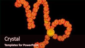  Presentation with zodiac - Cool new slide deck with topical flowers - capricorn sign of the zodiac backdrop and a wine colored foreground