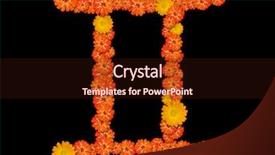  Presentation with zodiac - Amazing presentation theme having topical flowers - gemini sign of the zodiac backdrop and a wine colored foreground