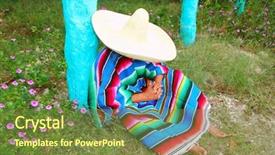  Presentation with mexican - Audience pleasing slide deck consisting of topical flowers - mexican lazy sombrero hat man backdrop and a  colored foreground