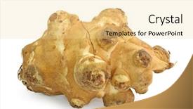  Presentation with octopus on isolated white - Presentation theme having topinambur tuber isolated on white background background and a blonde colored foreground