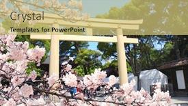  Presentation with japan sakura - Theme featuring torii-gate-and-blooming-sakura background and a yellow colored foreground