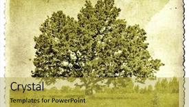  Presentation with aging - Audience pleasing presentation design consisting of torn picture - aging photography backdrop and a gold colored foreground