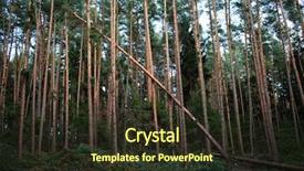  Presentation with storm damage - Cool new slides with tornado damage - forest with fallen trees backdrop and a tawny brown colored foreground