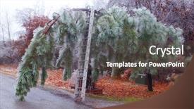  Presentation with tornado - Beautiful presentation featuring tornado damage - pine trees under heavy ice backdrop and a dark gray colored foreground
