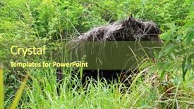  Presentation with base - Presentation design featuring tornado damage - view from base background and a tawny brown colored foreground