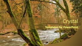  Presentation with symbol - Beautiful slide set featuring torrential-brook-in-autumn-forest backdrop and a tawny brown colored foreground
