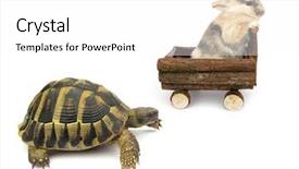  Presentation with tortoise - Presentation theme featuring tortoise and the hare story background and a white colored foreground