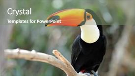  Presentation with dancer music outdoor - Beautiful presentation theme featuring lonely woman with umbrella walking down the street in rainy day intentional motion blur backdrop and a light gray colored foreground