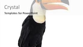  Presentation with tongue - Slide deck featuring toucan-toco-beak-open background and a white colored foreground