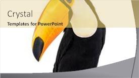  Presentation with of fireball isolated - Slide deck consisting of toucan-toco-ramphastos-toco-isolated background and a yellow colored foreground