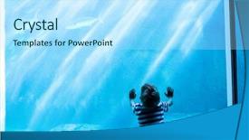  Presentation with think tank - Theme with touching a giant fish-tank background and a arctic colored foreground