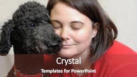  Presentation with poodle - Cool new presentation theme with touching moment between woman and standard poodle dog backdrop and a tawny brown colored foreground