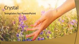  Presentation with health environment - Beautiful theme featuring touching wildflowers closeup meadow field backdrop and a blonde colored foreground