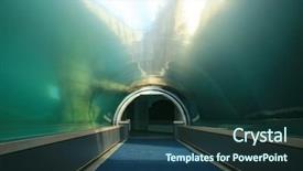  Presentation with tuna fish underwater in ocean - PPT theme featuring tourism visitor centre - underwater tunnel background and a  colored foreground