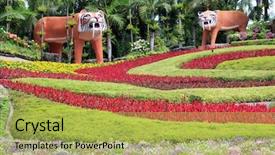  Presentation with botanical garden - Slides featuring tropical botanical garden in pattaya background and a yellow colored foreground