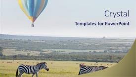  Presentation with safari - Slide deck enhanced with tourist-attraction-on-african-safari background and a sky blue colored foreground