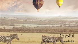  Presentation with safari - Slide set consisting of tourist-attraction-on-african-safari background and a coral colored foreground