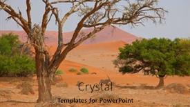  Presentation with safari - Colorful slide deck enhanced with tourist-attraction-on-african-safari backdrop and a red colored foreground