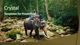  Presentation with elephant - Slides featuring tourist couple riding elephant background and a tawny brown colored foreground