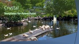  Presentation with duck - PPT theme having tourist-duck-farm-in-countryside background and a tawny brown colored foreground