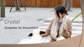  Presentation with sheep - 