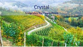 Presentation with nature vines - Amazing theme having tourist industry - scenic nature golden vineyards backdrop and a light blue colored foreground