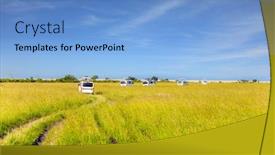  Presentation with safari animals - Amazing PPT layouts having tourist-jeeps-in-the-grassy backdrop and a light blue colored foreground