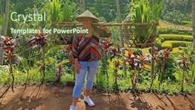  Presentation with rice fields - Cool new slides with tourist-on-the-jatiluwih-rice backdrop and a tawny brown colored foreground