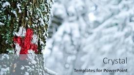  Presentation with tourist - Amazing presentation theme having tourist-sign-on-the-bark backdrop and a light blue colored foreground