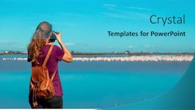  Presentation with flamingo - Theme having tourist-take-photography-on-photo background and a  colored foreground