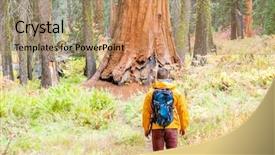  Presentation with states - Slide set having tourist with backpack hiking in sequoia national park california united states background and a coral colored foreground