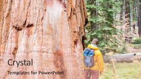  Presentation with states - Beautiful PPT theme featuring tourist with backpack hiking in sequoia national park california united states backdrop and a coral colored foreground