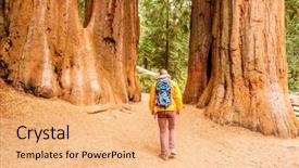  Presentation with states - Slide deck enhanced with tourist with backpack hiking in sequoia national park california united states background and a coral colored foreground