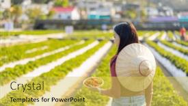  Presentation with strawberry - 