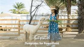  Presentation with farm - Presentation design enhanced with tourist-woman-go and a coral colored foreground