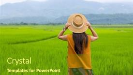  Presentation with rice field - Presentation design having tourist-woman-in-rice-field background and a tawny brown colored foreground