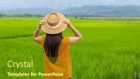  Presentation with rice field - PPT theme enhanced with tourist-woman-in-rice-field background and a tawny brown colored foreground
